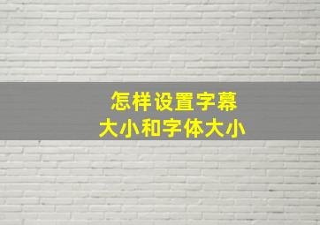 怎样设置字幕大小和字体大小