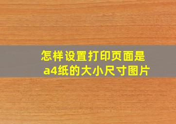 怎样设置打印页面是a4纸的大小尺寸图片