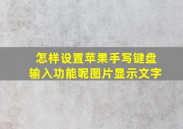 怎样设置苹果手写键盘输入功能呢图片显示文字