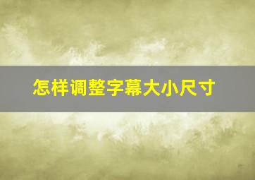 怎样调整字幕大小尺寸