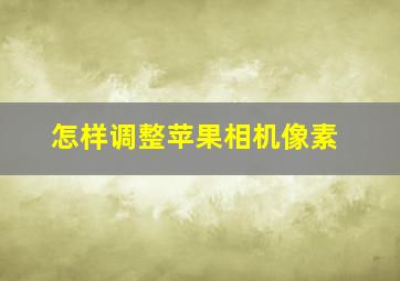 怎样调整苹果相机像素