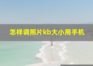 怎样调照片kb大小用手机