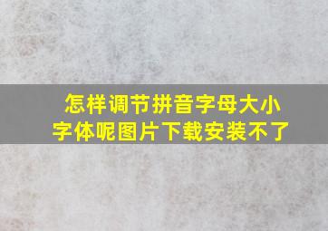 怎样调节拼音字母大小字体呢图片下载安装不了