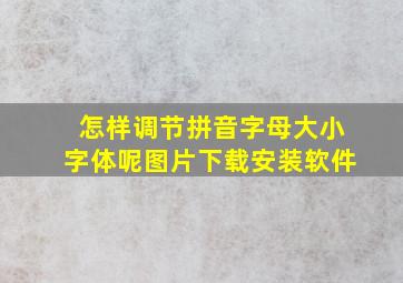 怎样调节拼音字母大小字体呢图片下载安装软件