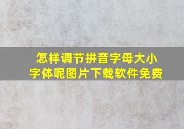 怎样调节拼音字母大小字体呢图片下载软件免费