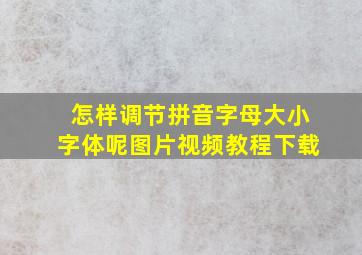 怎样调节拼音字母大小字体呢图片视频教程下载