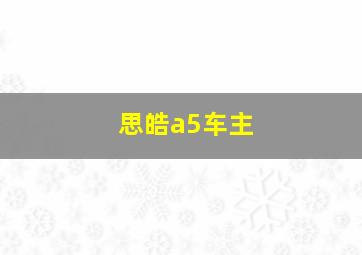 思皓a5车主