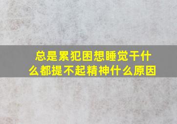 总是累犯困想睡觉干什么都提不起精神什么原因