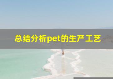 总结分析pet的生产工艺