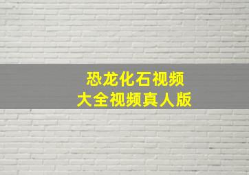 恐龙化石视频大全视频真人版