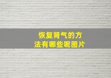 恢复肾气的方法有哪些呢图片