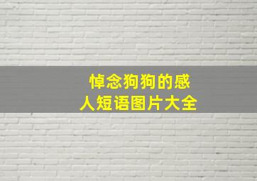 悼念狗狗的感人短语图片大全