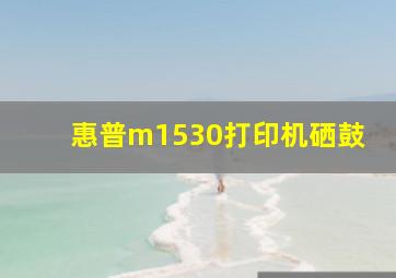 惠普m1530打印机硒鼓