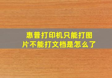 惠普打印机只能打图片不能打文档是怎么了