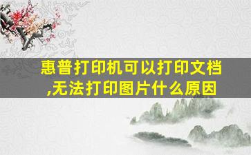 惠普打印机可以打印文档,无法打印图片什么原因