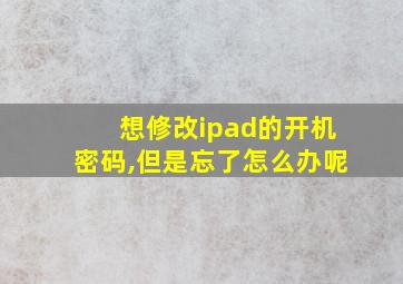 想修改ipad的开机密码,但是忘了怎么办呢