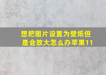 想把图片设置为壁纸但是会放大怎么办苹果11