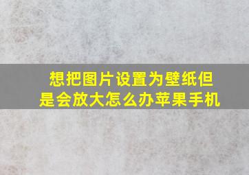 想把图片设置为壁纸但是会放大怎么办苹果手机