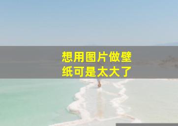 想用图片做壁纸可是太大了