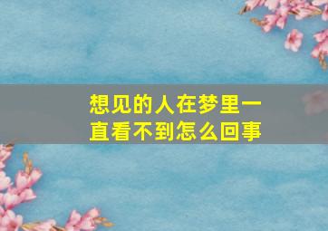 想见的人在梦里一直看不到怎么回事