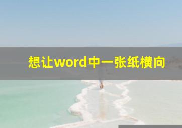 想让word中一张纸横向