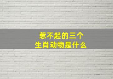 惹不起的三个生肖动物是什么