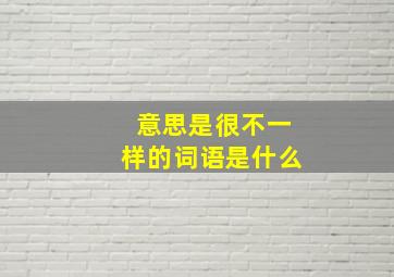 意思是很不一样的词语是什么