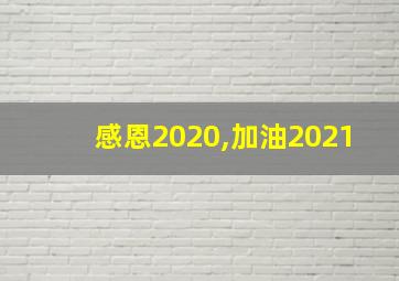 感恩2020,加油2021