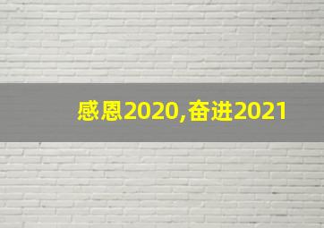 感恩2020,奋进2021