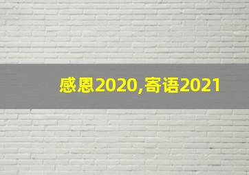 感恩2020,寄语2021