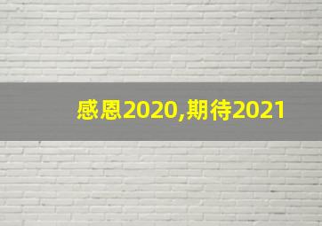 感恩2020,期待2021