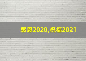 感恩2020,祝福2021