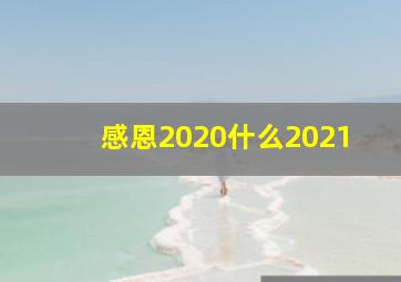 感恩2020什么2021