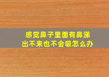 感觉鼻子里面有鼻涕出不来也不会吸怎么办