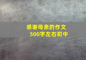 感谢母亲的作文500字左右初中