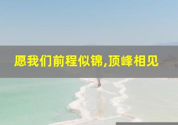 愿我们前程似锦,顶峰相见