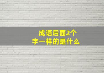 成语后面2个字一样的是什么