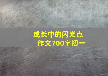 成长中的闪光点作文700字初一