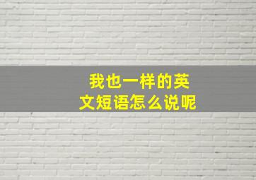 我也一样的英文短语怎么说呢