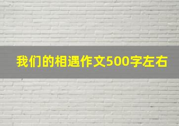 我们的相遇作文500字左右