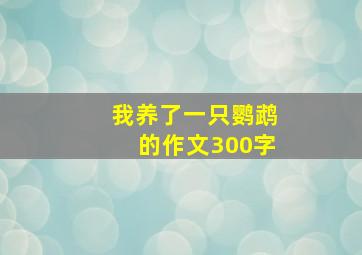 我养了一只鹦鹉的作文300字