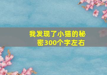 我发现了小猫的秘密300个字左右