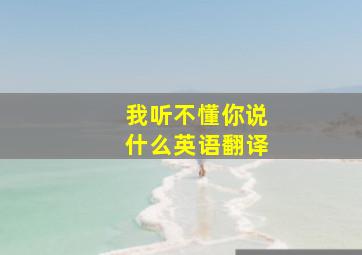 我听不懂你说什么英语翻译