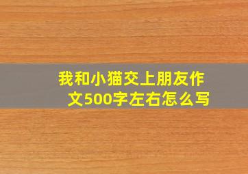 我和小猫交上朋友作文500字左右怎么写