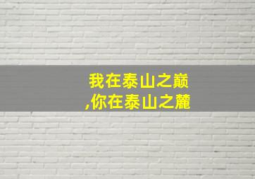 我在泰山之巅,你在泰山之麓