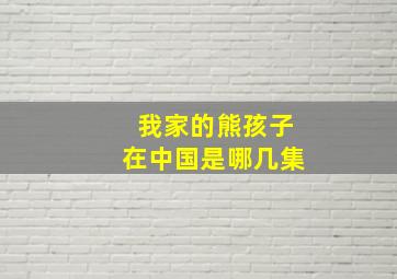 我家的熊孩子在中国是哪几集