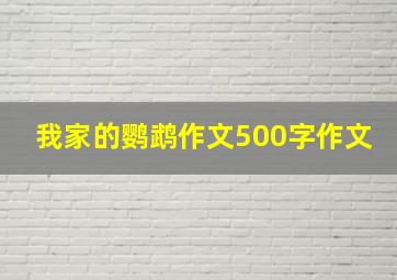 我家的鹦鹉作文500字作文