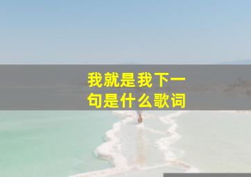 我就是我下一句是什么歌词