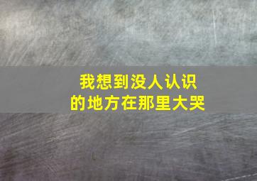 我想到没人认识的地方在那里大哭