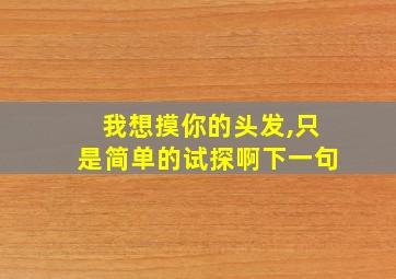 我想摸你的头发,只是简单的试探啊下一句